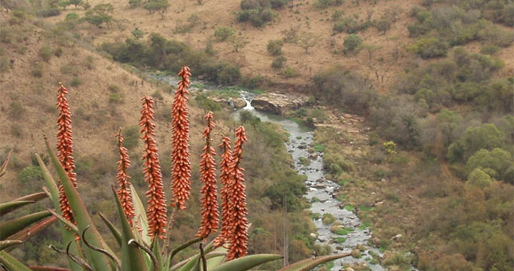 WESSA Umgeni Valley officially proclaimed Nature Reserve status