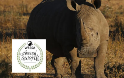 Recognising excellence – the 2023 WESSA Awards