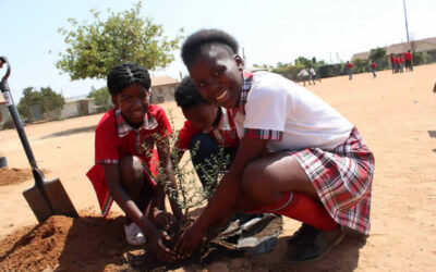 WESSA Eco-Schools celebrate 20 years of environmental action