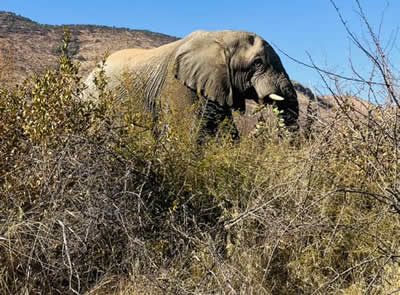 conservation training