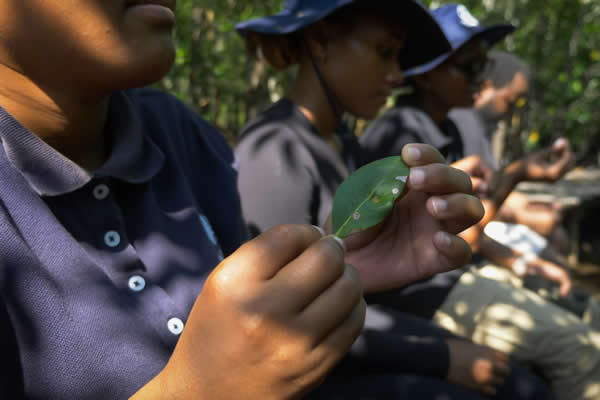 environmental education