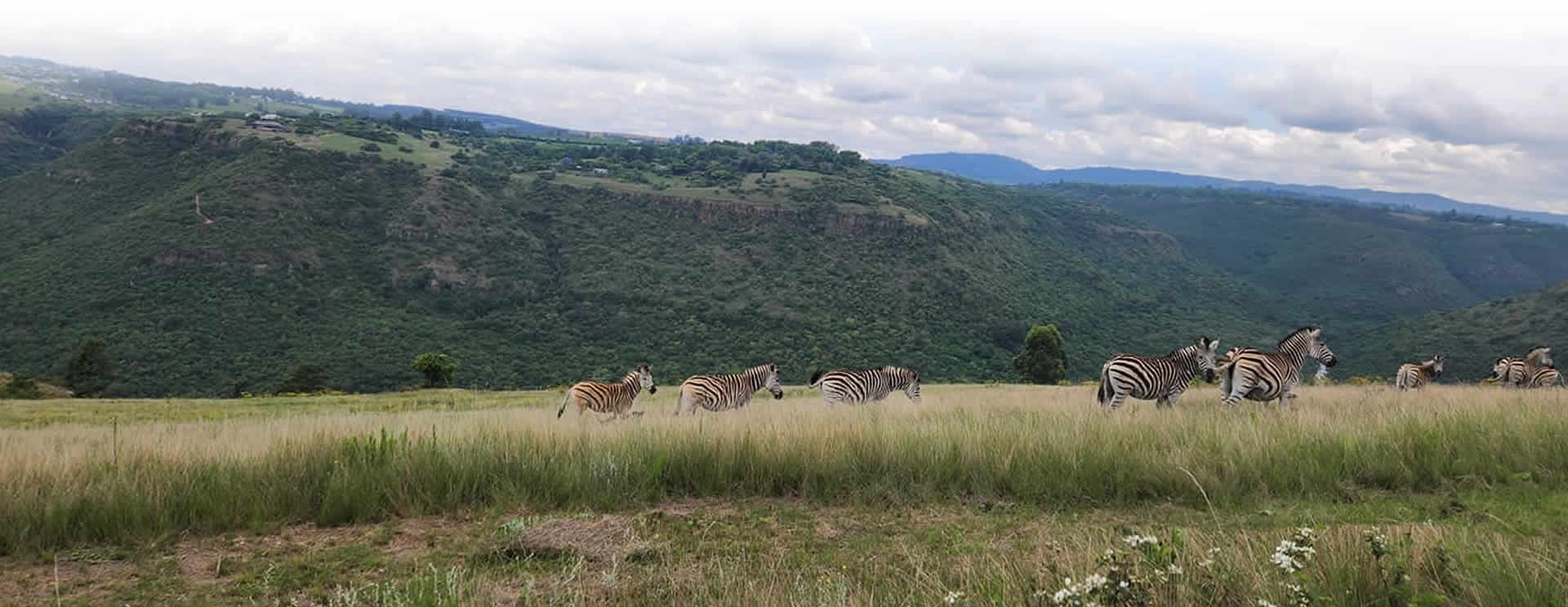 uMngeni Valley Nature Reserve - WESSA