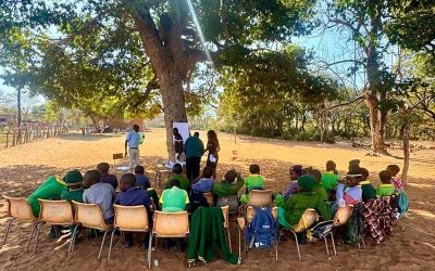 WESSA’s Eco-Schools programme takes root in Zimbabwe